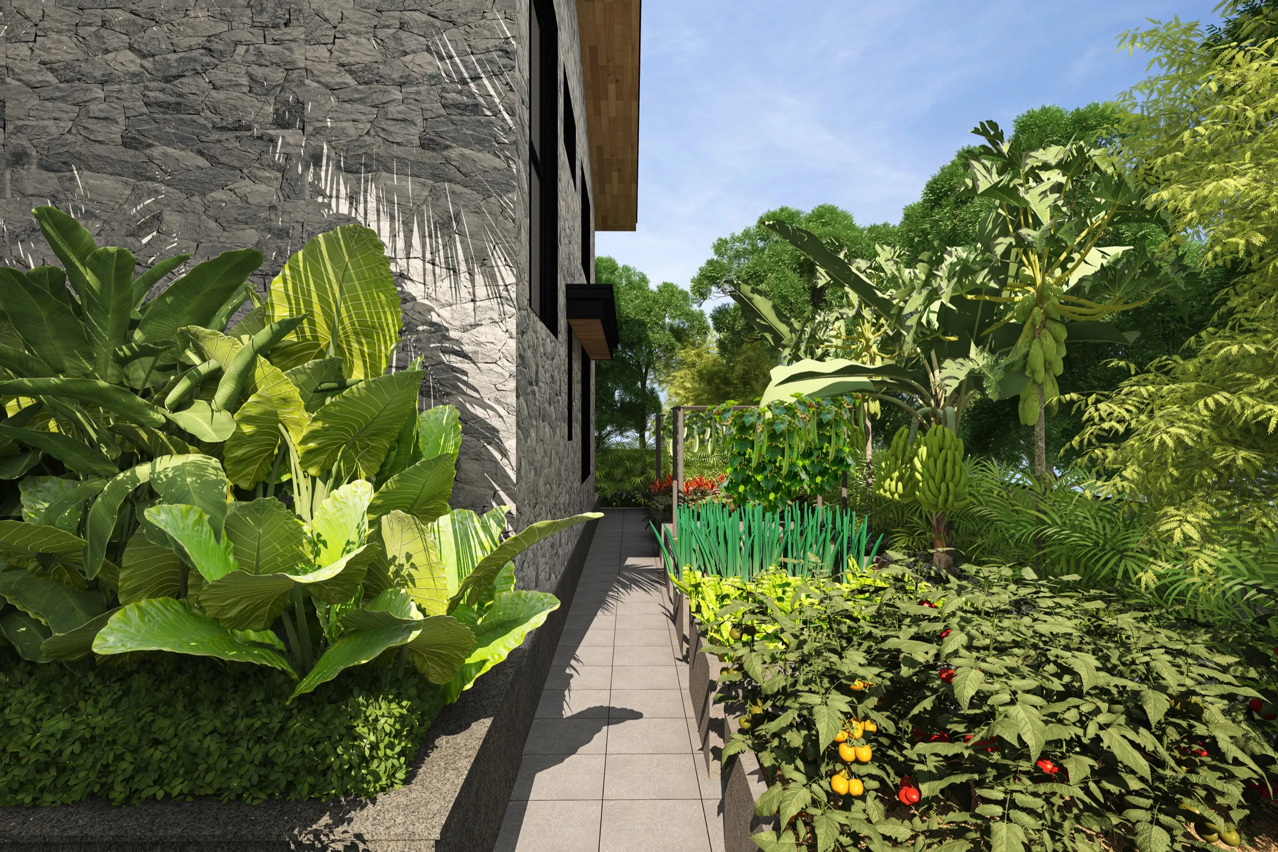 The vegetable garden by night - artistic impression